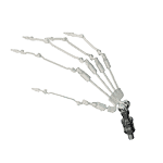 Skeleton toy with detailed bones and joints, black skull, and articulated limbs, ideal for educational or decorative purposes.