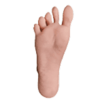 Foot with smooth skin and natural-looking toes, showcasing high-quality craftsmanship.