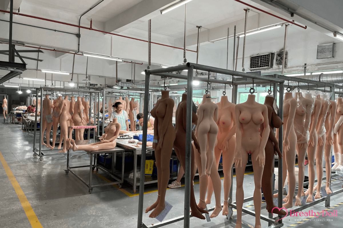 Doll display in a factory setting with multiple realistic silicone companion dolls hanging and arranged on metal racks and tables.