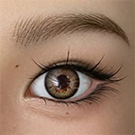Realistic Brown Eye Doll Close-Up