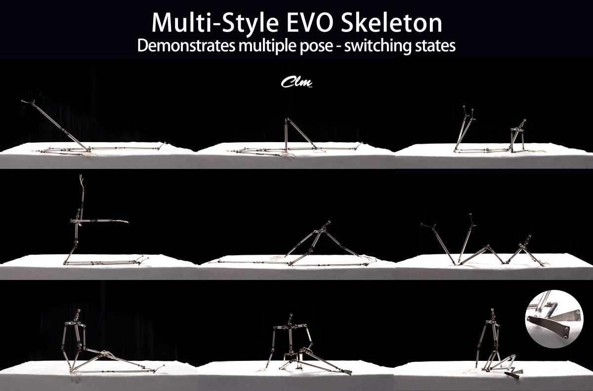 An adjustable skeleton showing various poses to illustrate how structure influences realism in sex dolls.