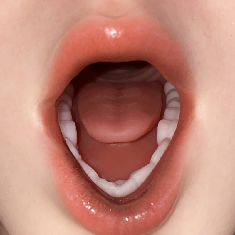 A realistic companion doll's open mouth showing detailed oral anatomy, including teeth, tongue, and soft tissues, highlighting the lifelike oral structure.